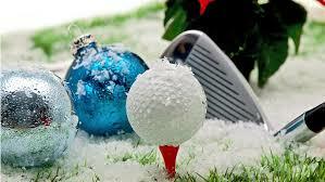 Ringer séniors d'hiver NET après 3 tours