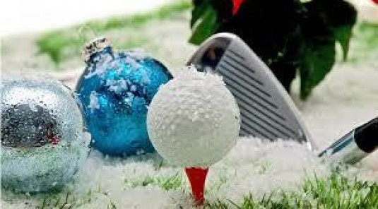 Ringer séniors d'hiver NET après 3 tours